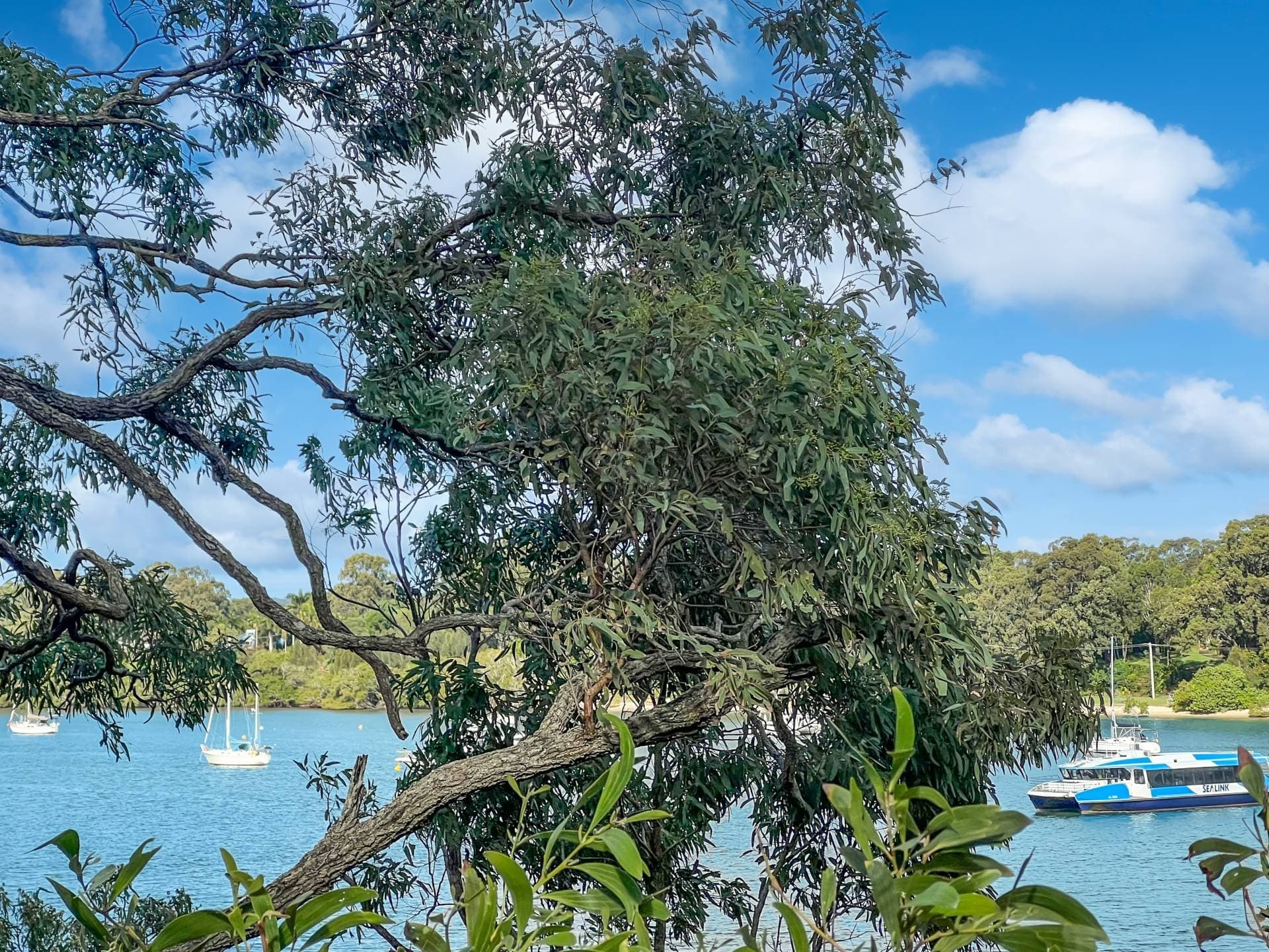 6-8 High Central Rd, Macleay Island, Macleay Island - Thumbnail 4