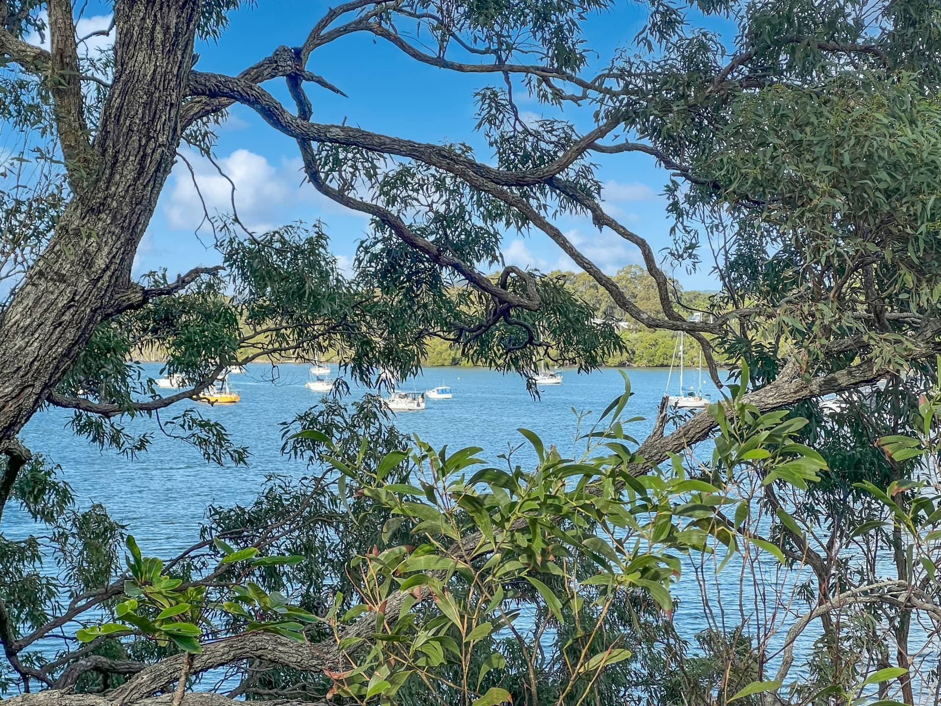 6-8 High Central Rd, Macleay Island, Macleay Island - Thumbnail 5