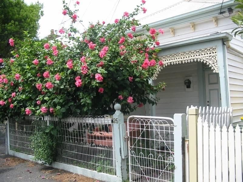 25 Schild Street YARRAVILLE VIC, Yarraville - Image 1