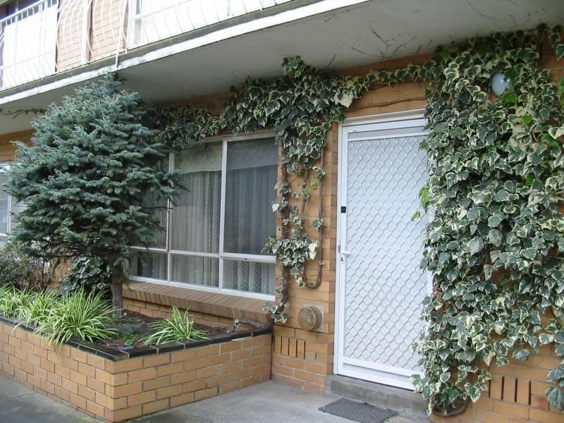 4/22 Bishop Street KINGSVILLE VIC, Kingsville - Thumbnail 2