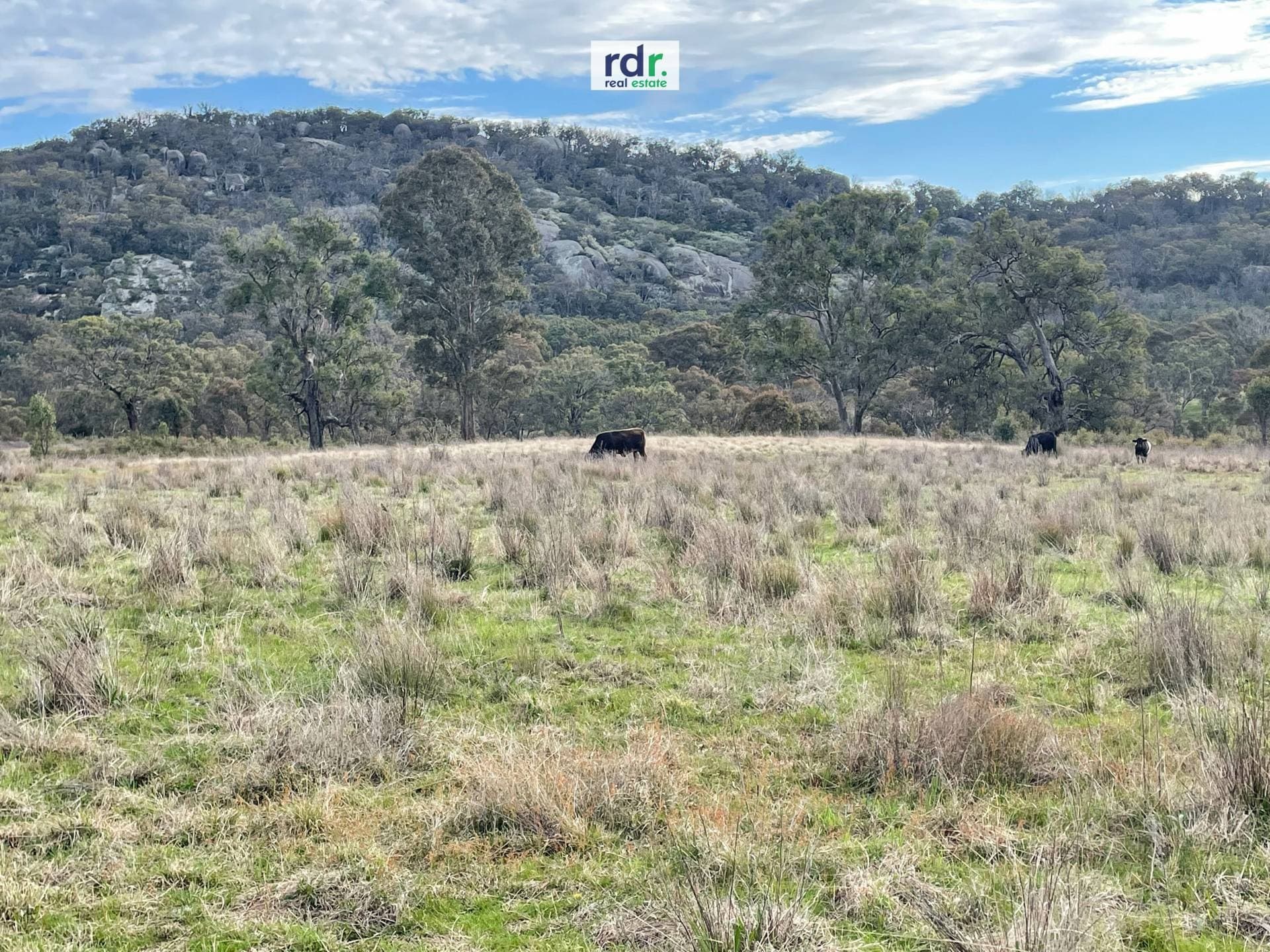 Lot 4, 189 Balala Road, Balala - Thumbnail 6