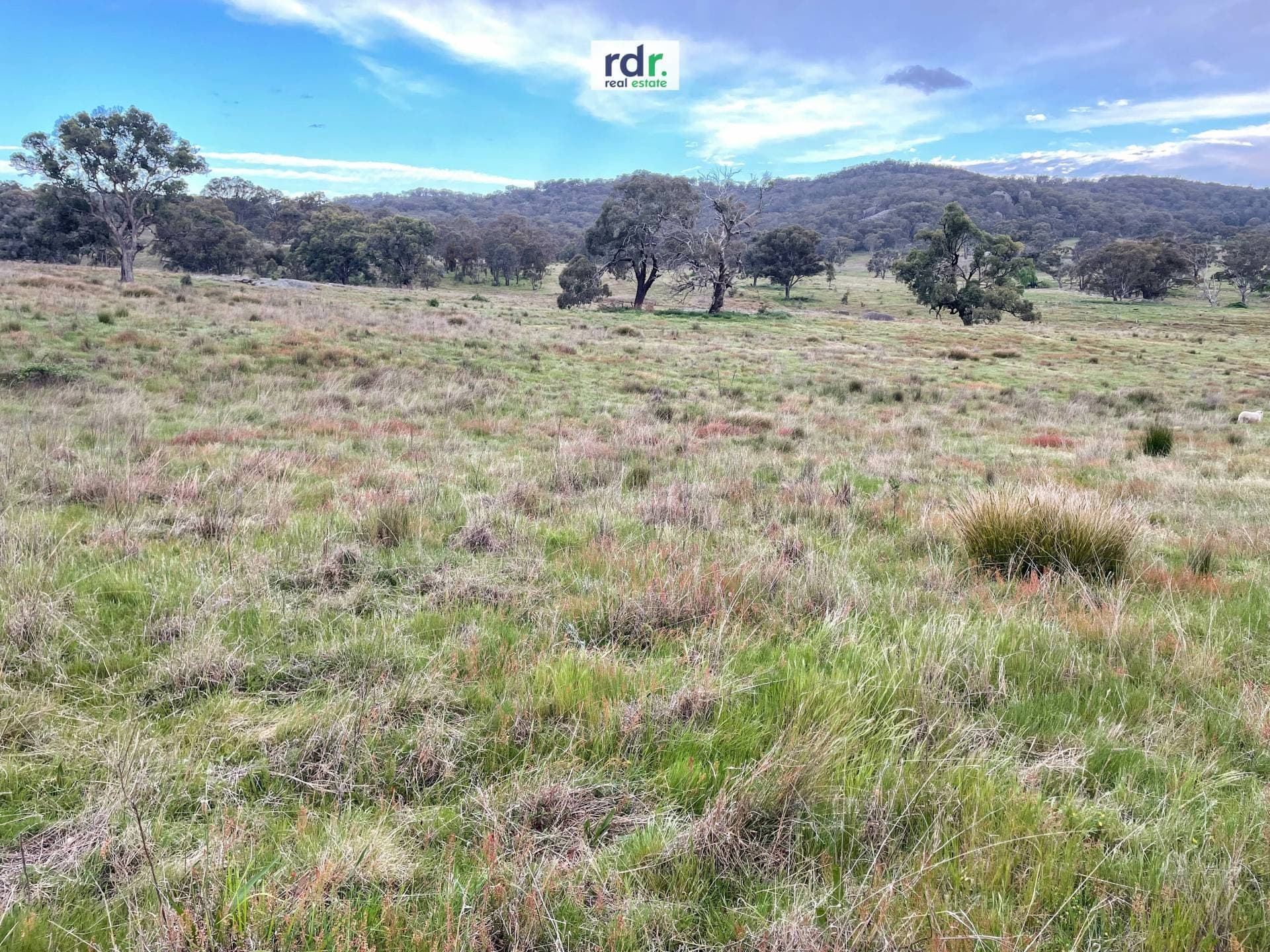 Lot 4, 189 Balala Road, Balala - Thumbnail 8