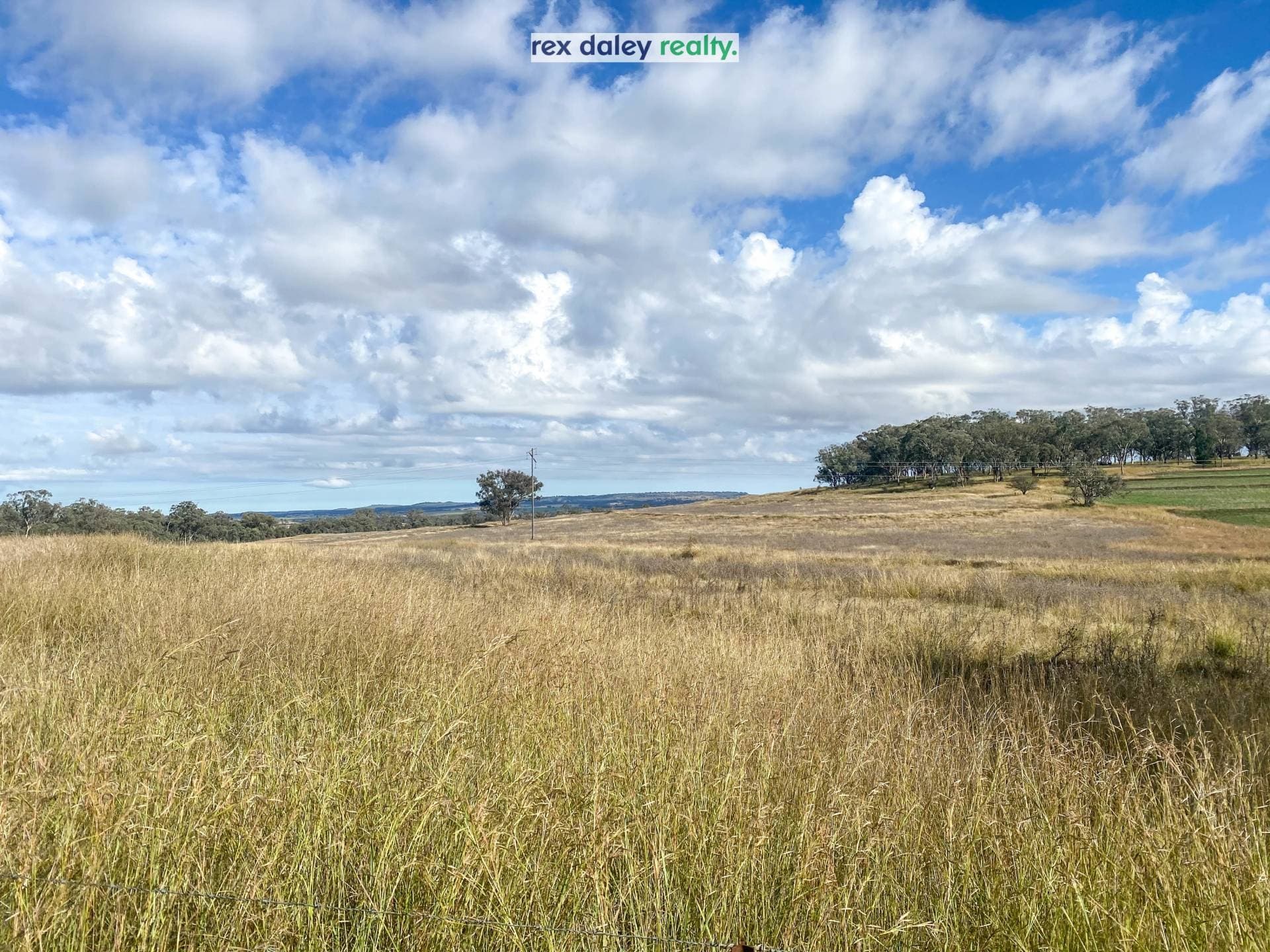 Lot 1, 214 Leviathan Road, Inverell - Thumbnail 4