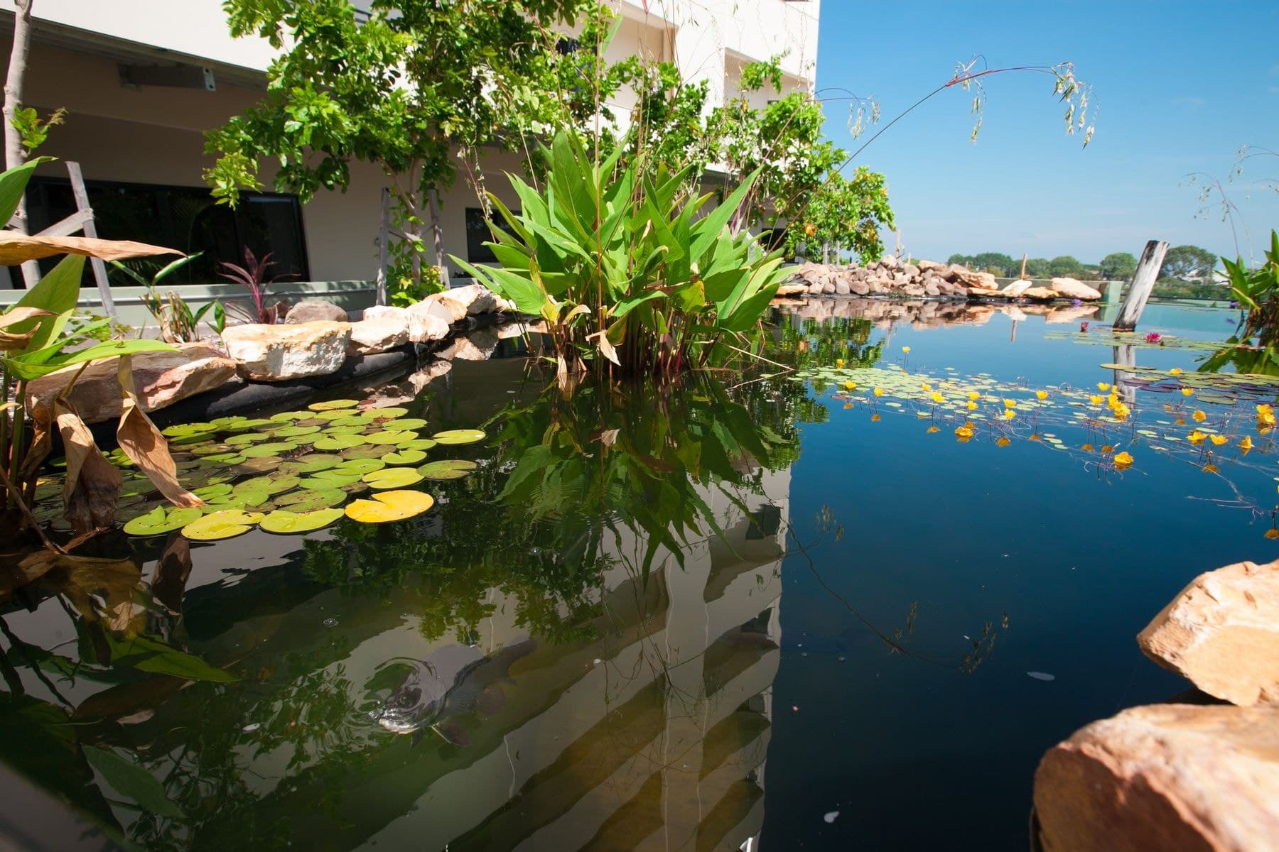 436/12 Salonika Street, Parap NT 0820, Parap - Thumbnail 7