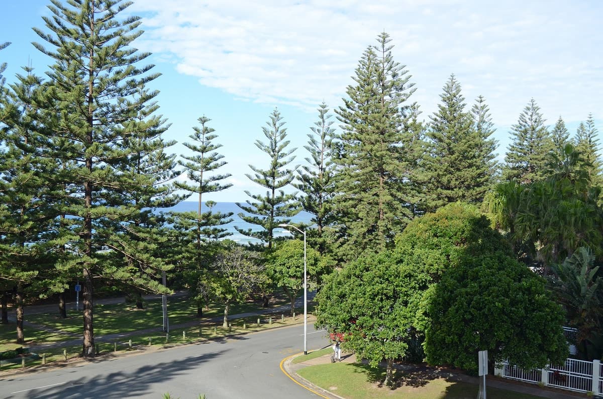 3D/238 The Esplanade, Burleigh Heads, Burleigh Heads - Thumbnail 3