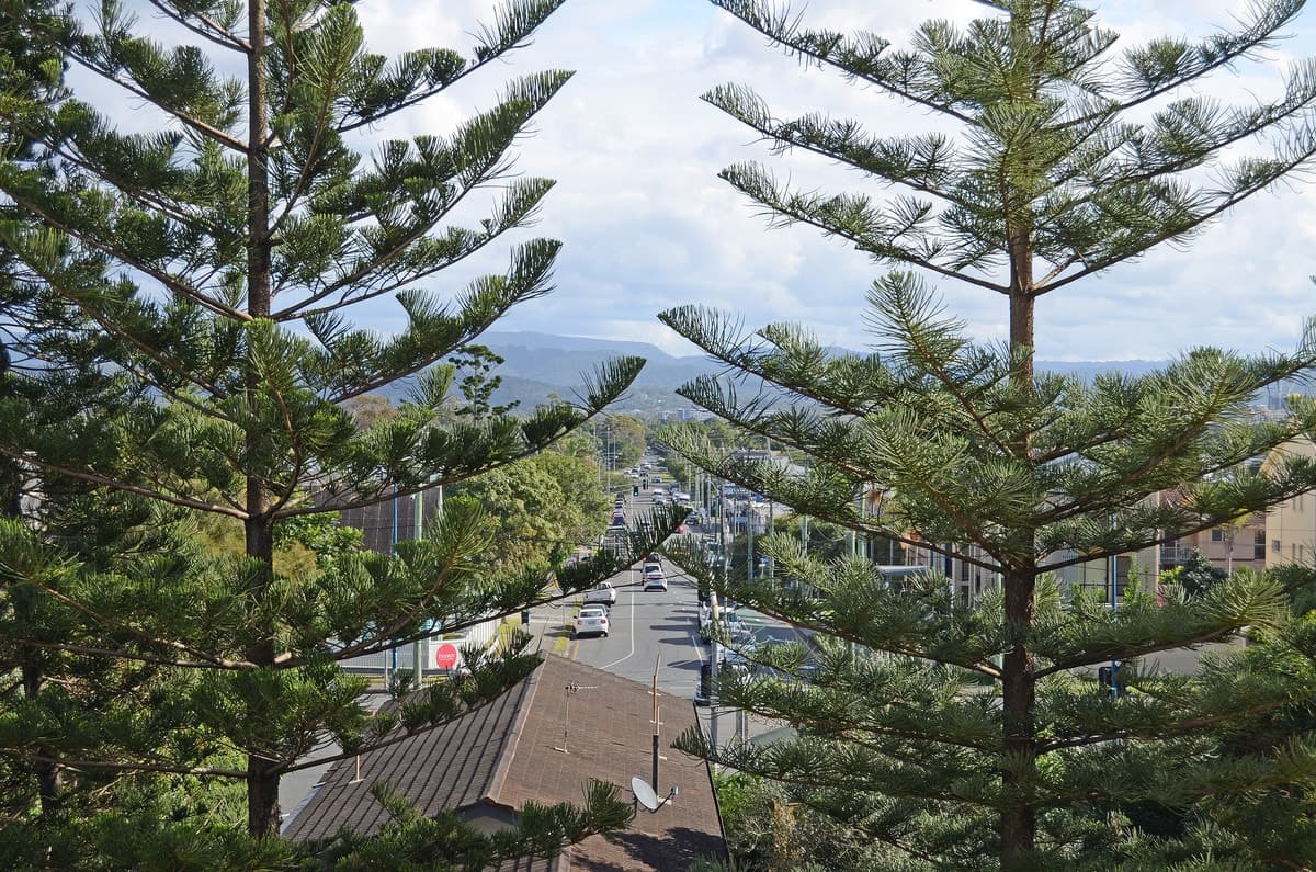 3D/238 The Esplanade, Burleigh Heads, Burleigh Heads - Thumbnail 8