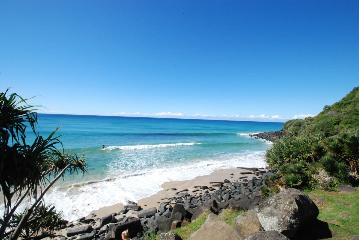 18 Bluejay Street, Burleigh Waters, Burleigh Waters - Thumbnail 8