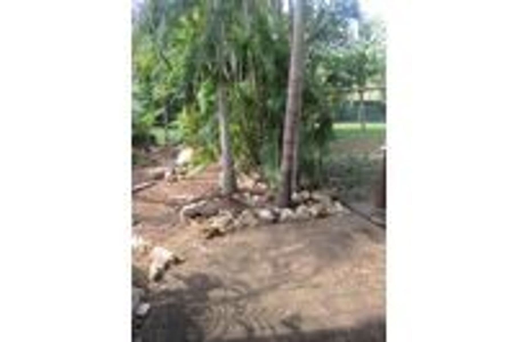 11/1 Frith Court, Malak NT 0812, Malak - Thumbnail 3