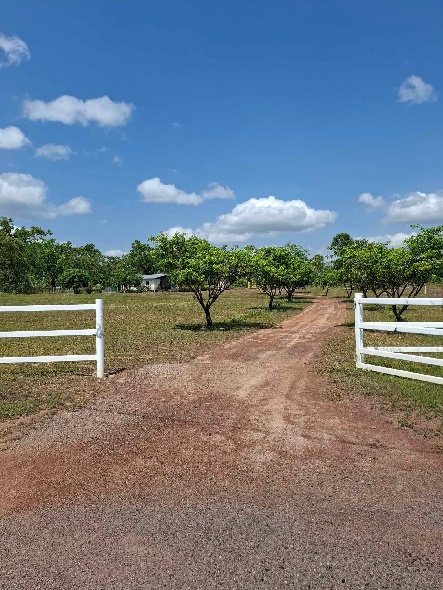 22 Hawks Court, ACACIA HILLS, NT, Acacia Hills - Image 1