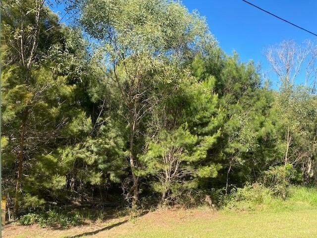 11-13 Rainbow Avenue, Macleay Island, Macleay Island - Thumbnail 2