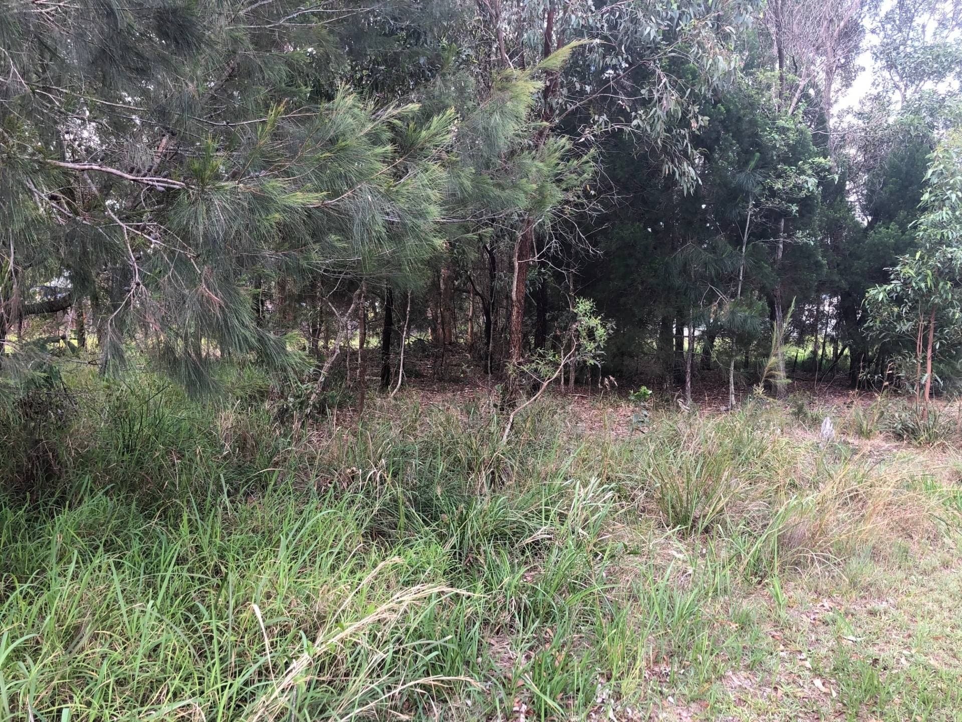 8 Arthur St, Macleay Island, Macleay Island - Thumbnail 2