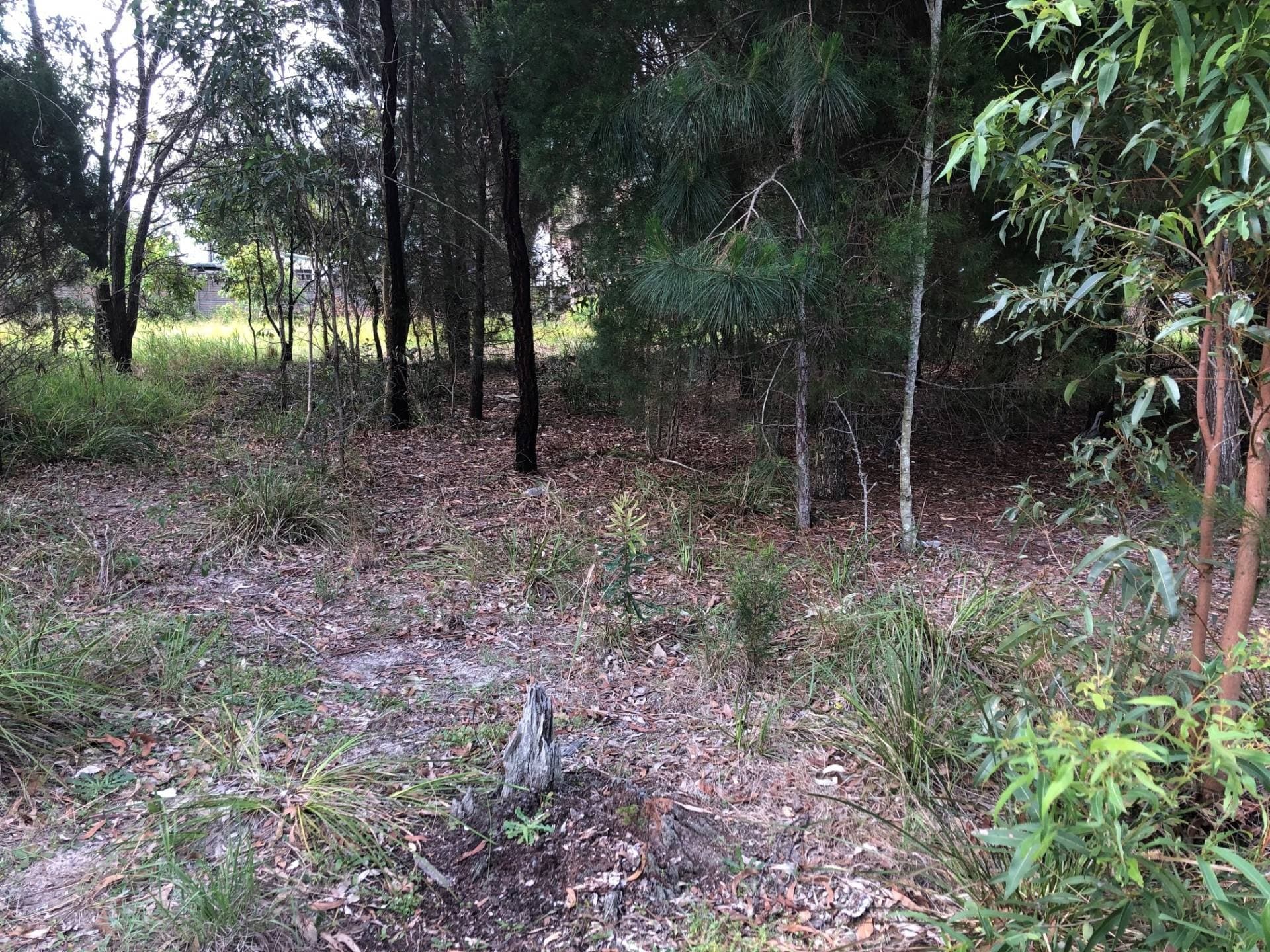 8 Arthur St, Macleay Island, Macleay Island - Thumbnail 3