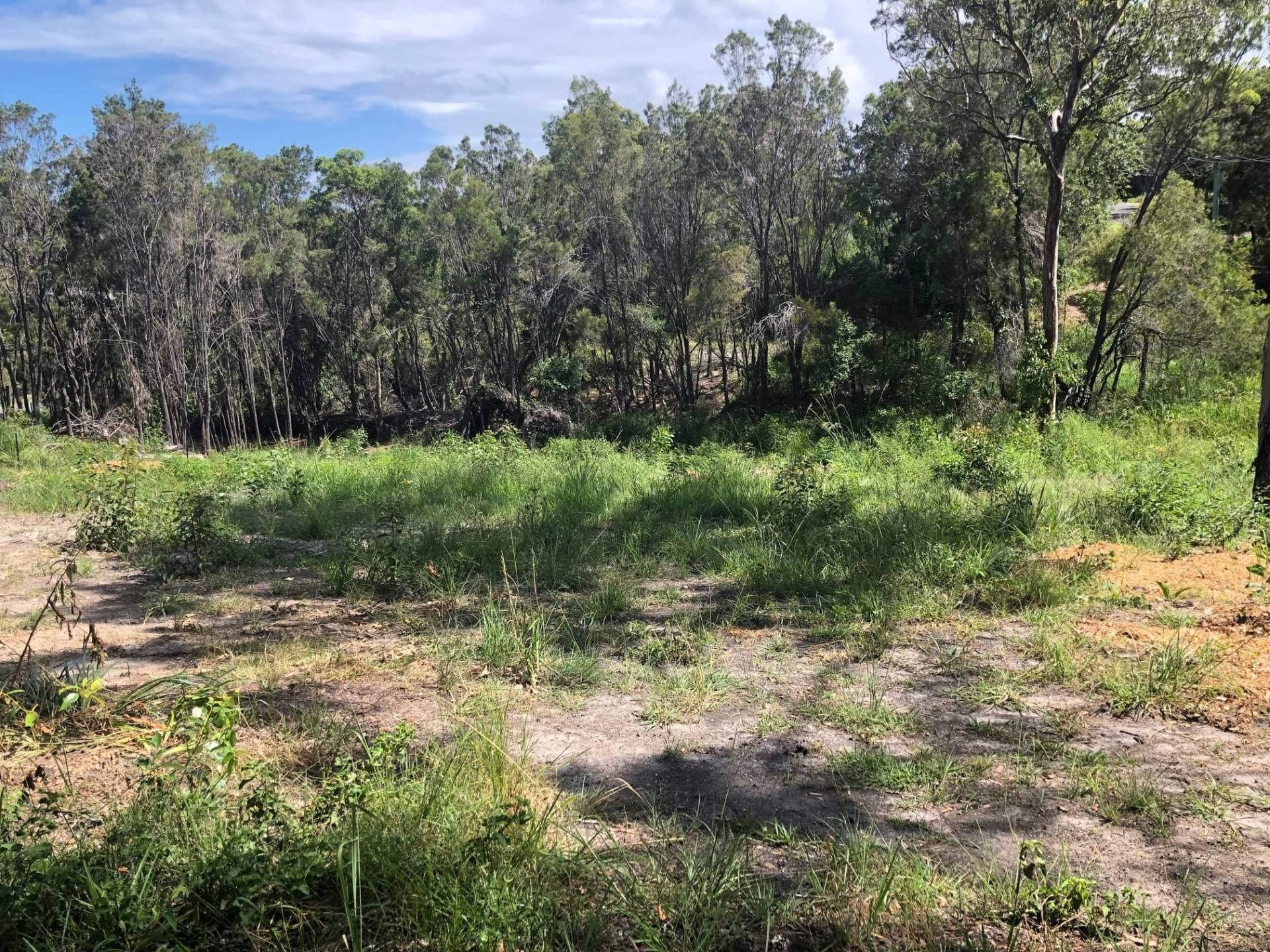 28 Ashton St, Macleay Island, Macleay Island - Thumbnail 2