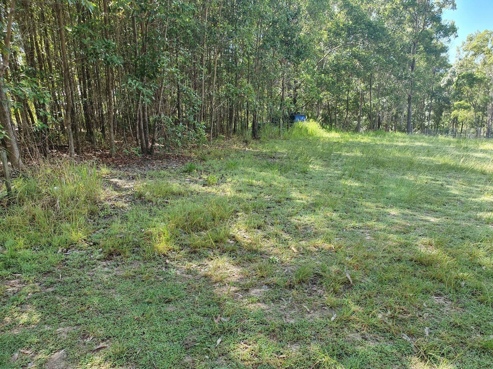 40 Cassandra Ave, Russell Island, Russell Island - Thumbnail 4