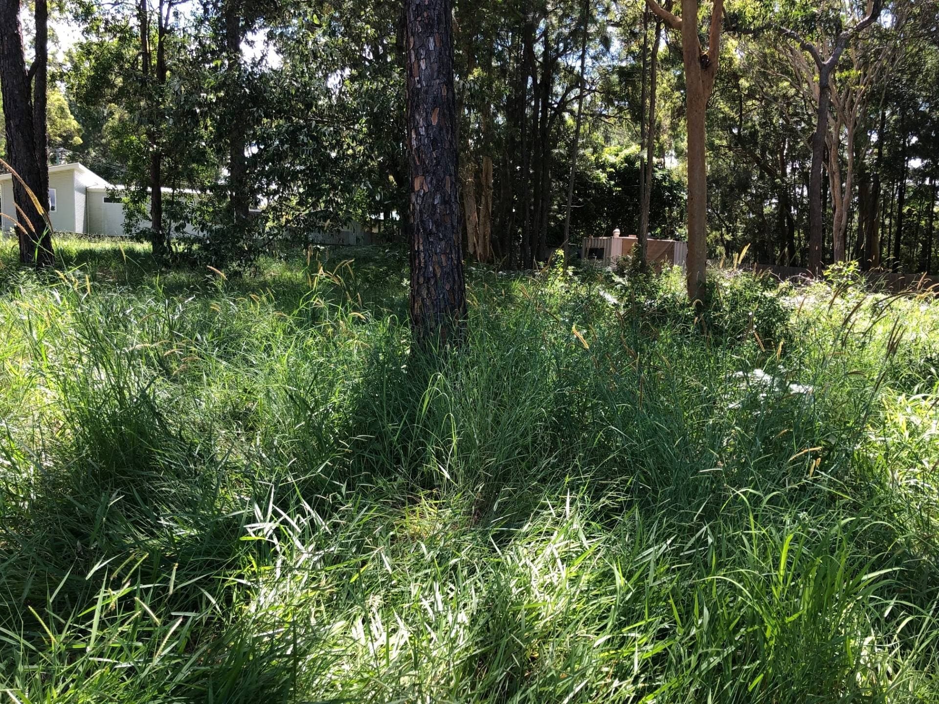 42 Arthur St, Macleay Island, Macleay Island - Thumbnail 2