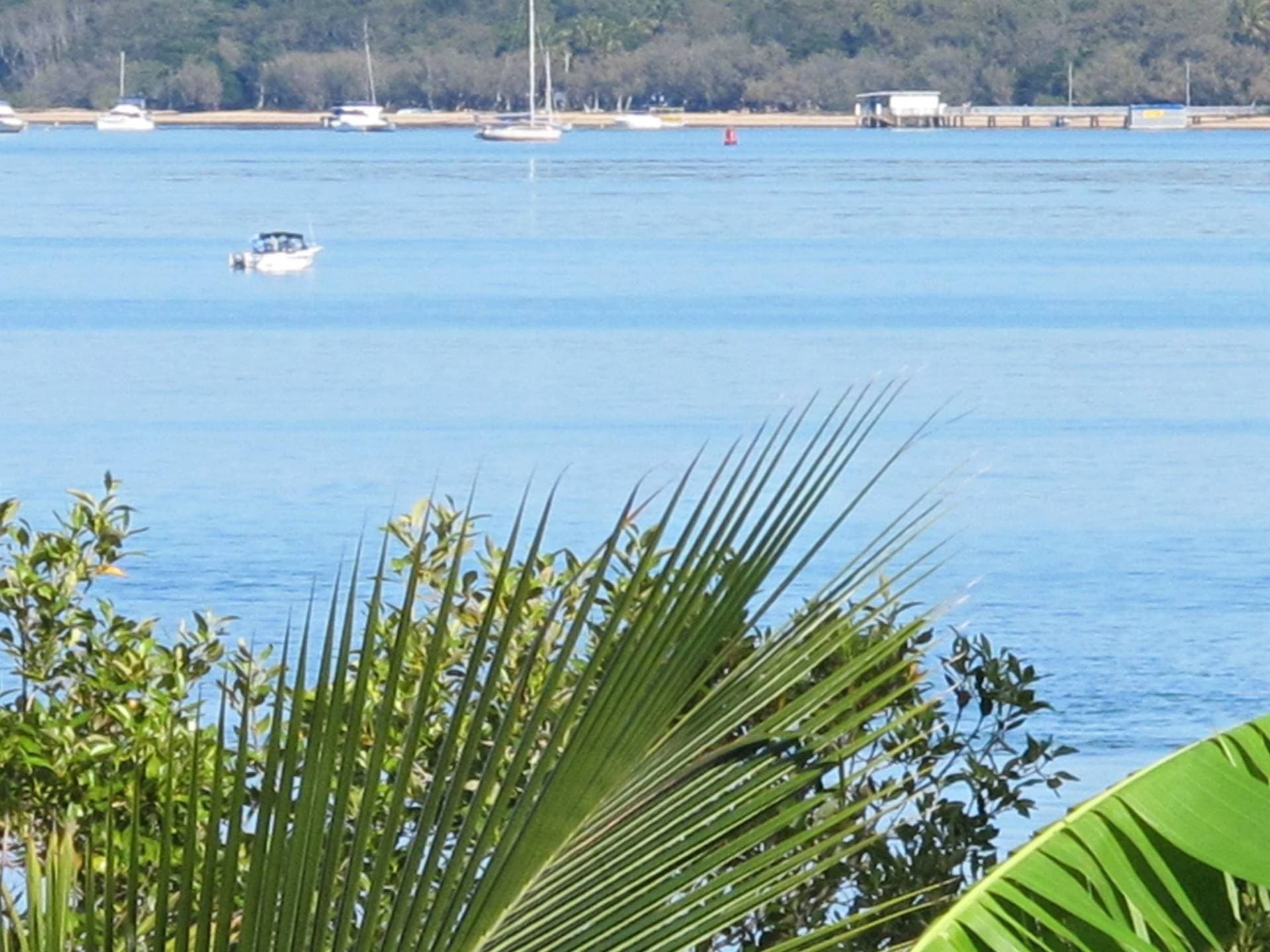 83 Coondooroopa Dr, Macleay Island, Macleay Island - Thumbnail 2