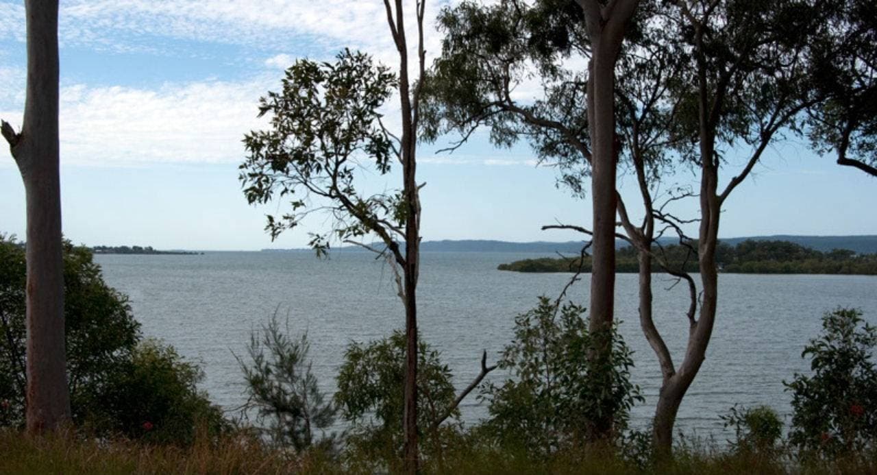 78 Timothy Street, Macleay Island, Macleay Island - Thumbnail 7