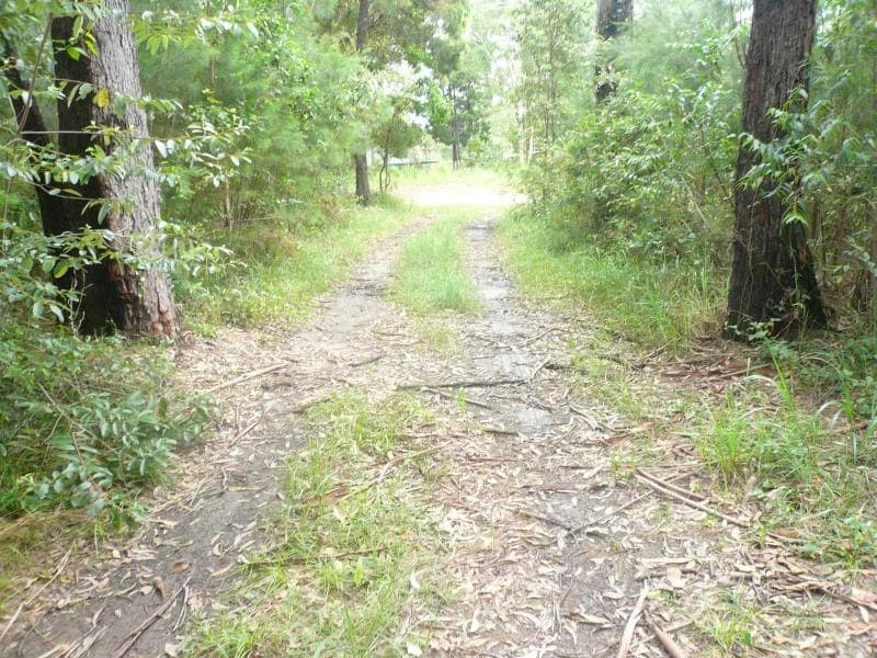 5 Walnut Court, Macleay Island, Macleay Island - Thumbnail 2