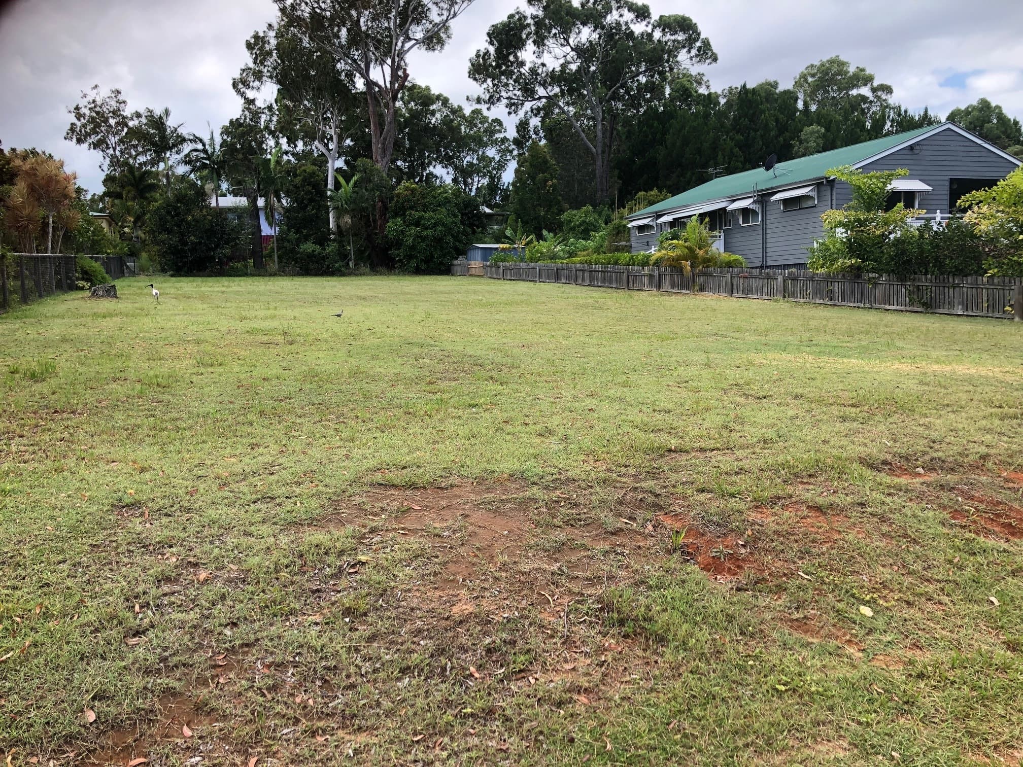 17 Benowa St, Macleay Island, Macleay Island - Thumbnail 2