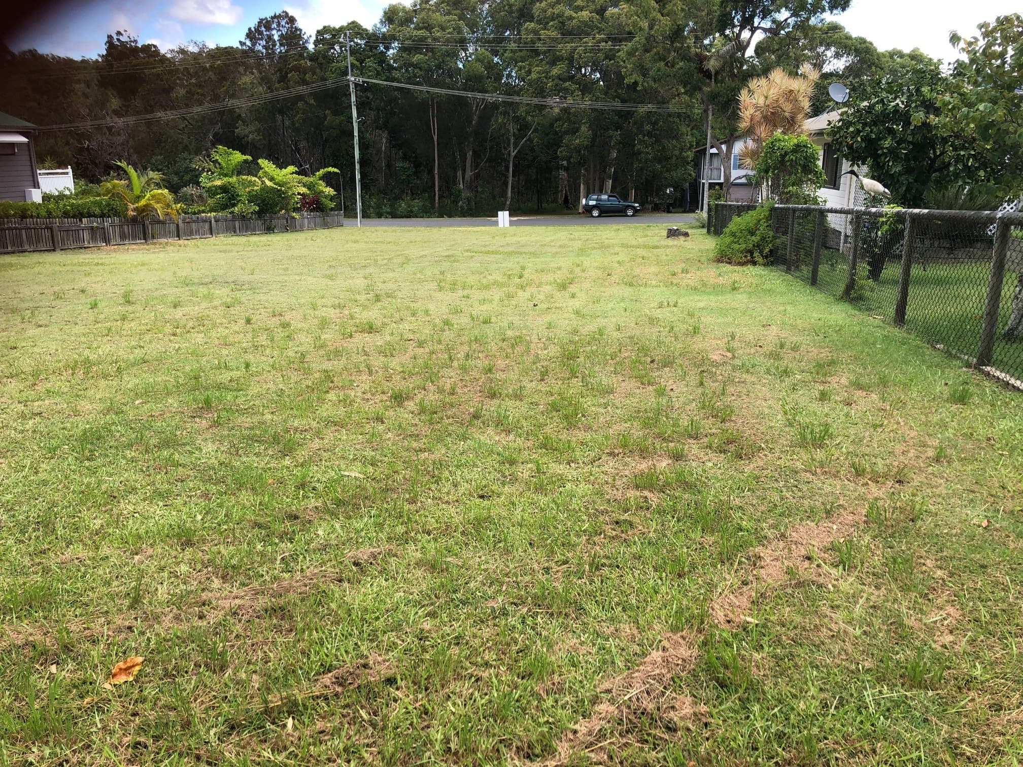 17 Benowa St, Macleay Island, Macleay Island - Thumbnail 5