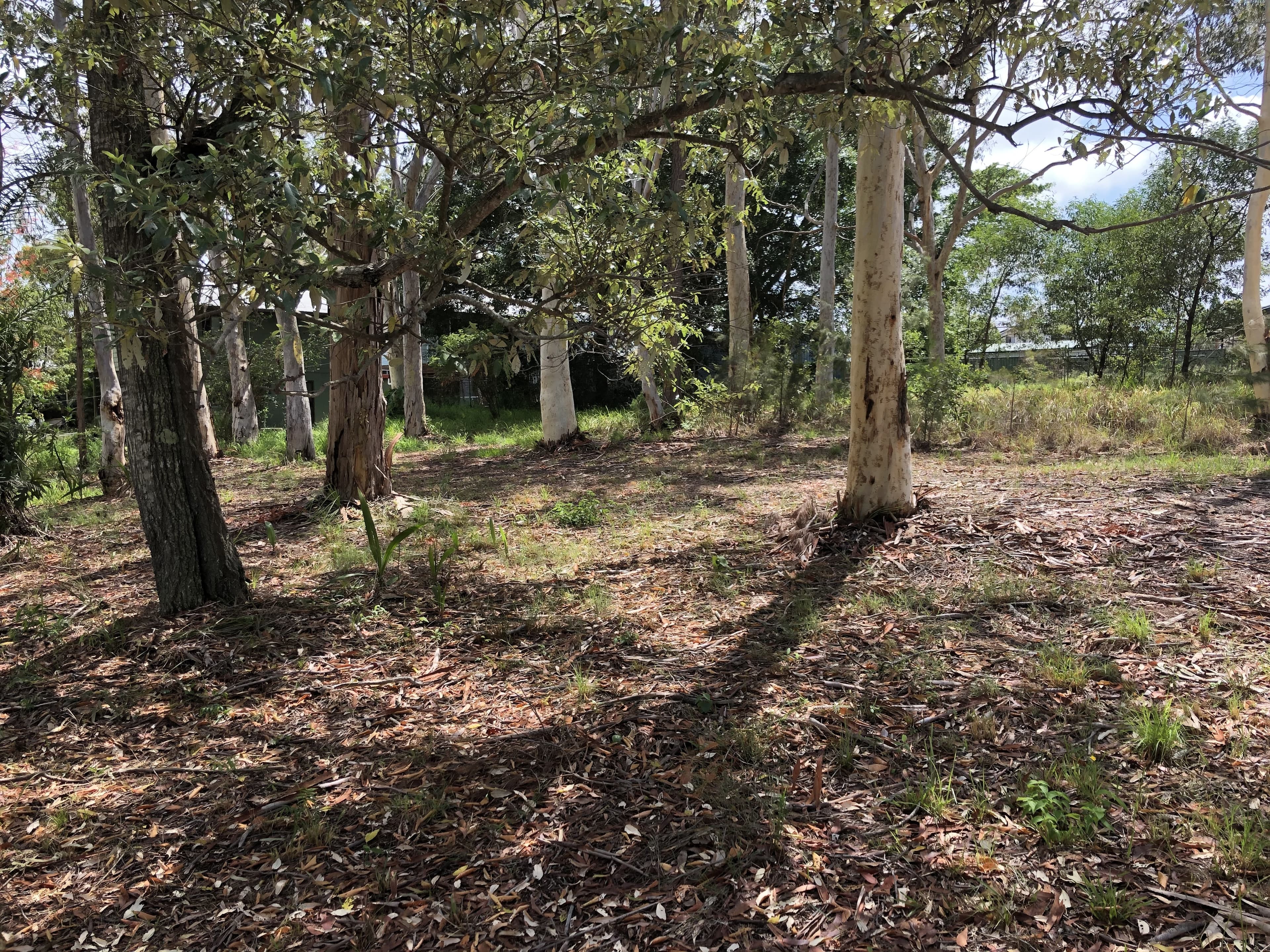 13 Tukkeri St, Macleay Island, Macleay Island - Thumbnail 2