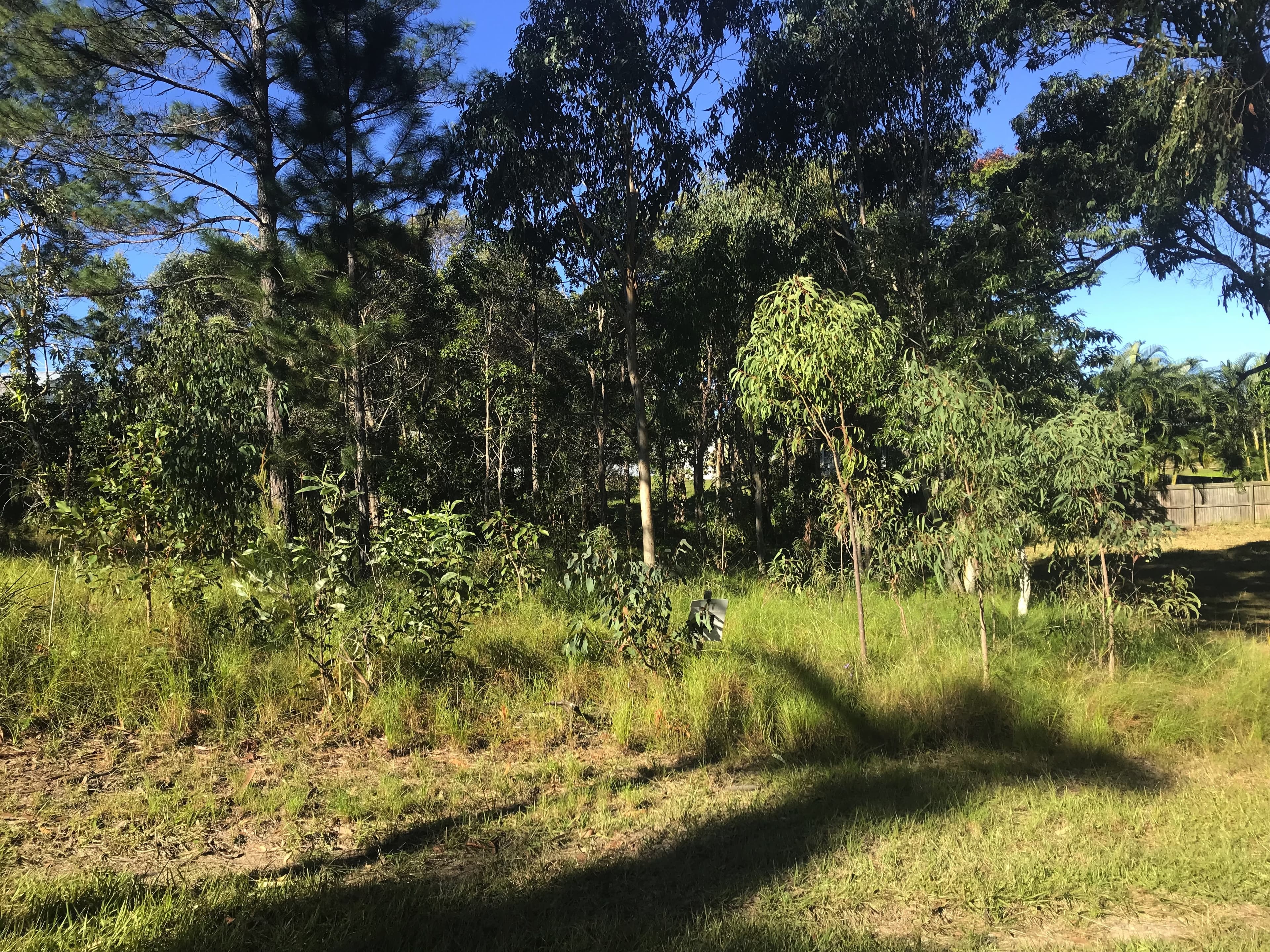 16 Rhodes St, Macleay Island, Macleay Island - Image 1