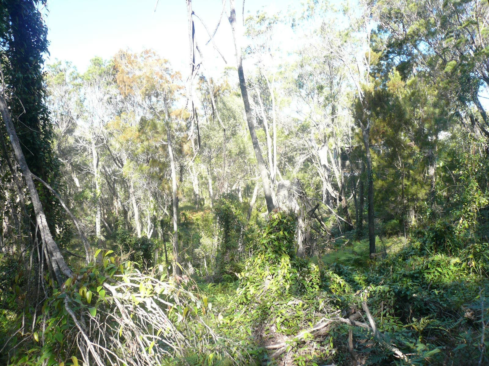 18 Timothy Street, Macleay Island, Macleay Island - Thumbnail 2