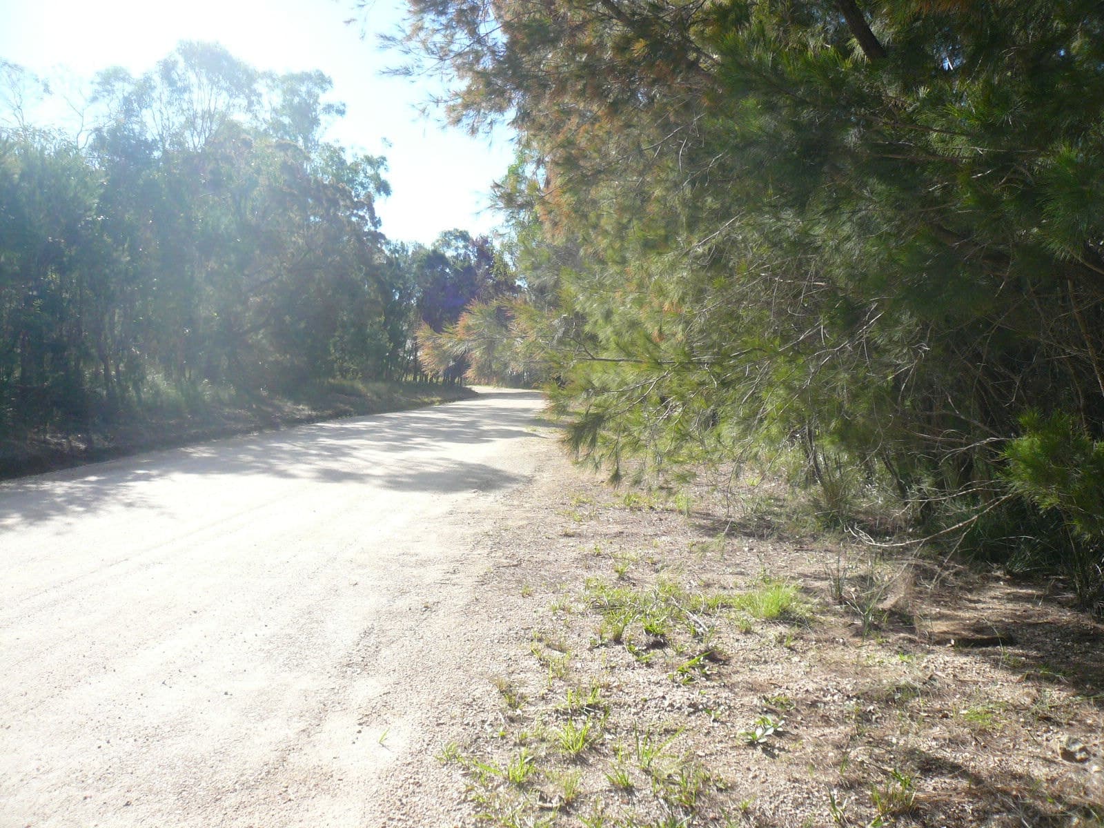18 Timothy Street, Macleay Island, Macleay Island - Thumbnail 3