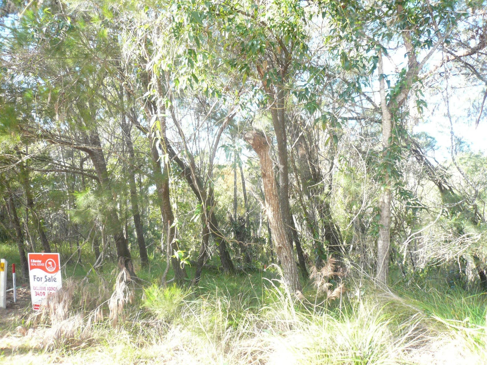 18 Timothy Street, Macleay Island, Macleay Island - Thumbnail 4