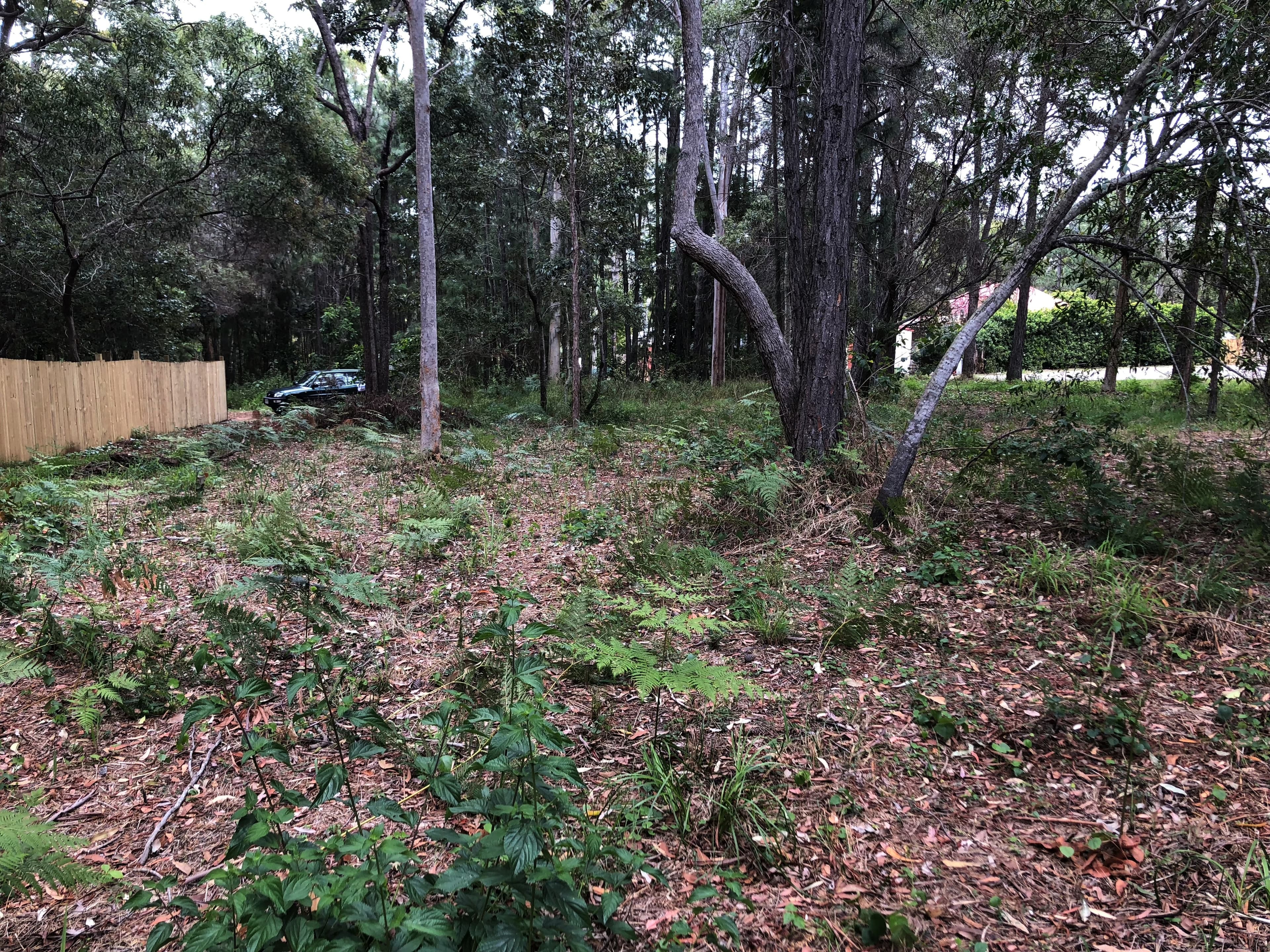 44 Arthur Street, Macleay Island, Macleay Island - Thumbnail 5