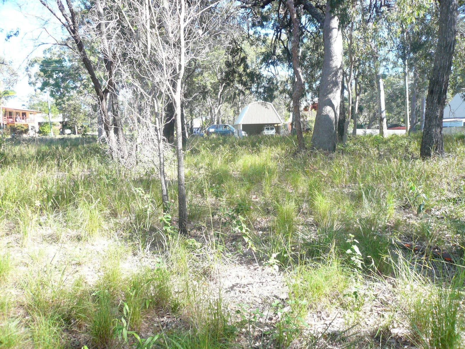 15 Blue Bay Crescent, Macleay Island, Macleay Island - Thumbnail 2