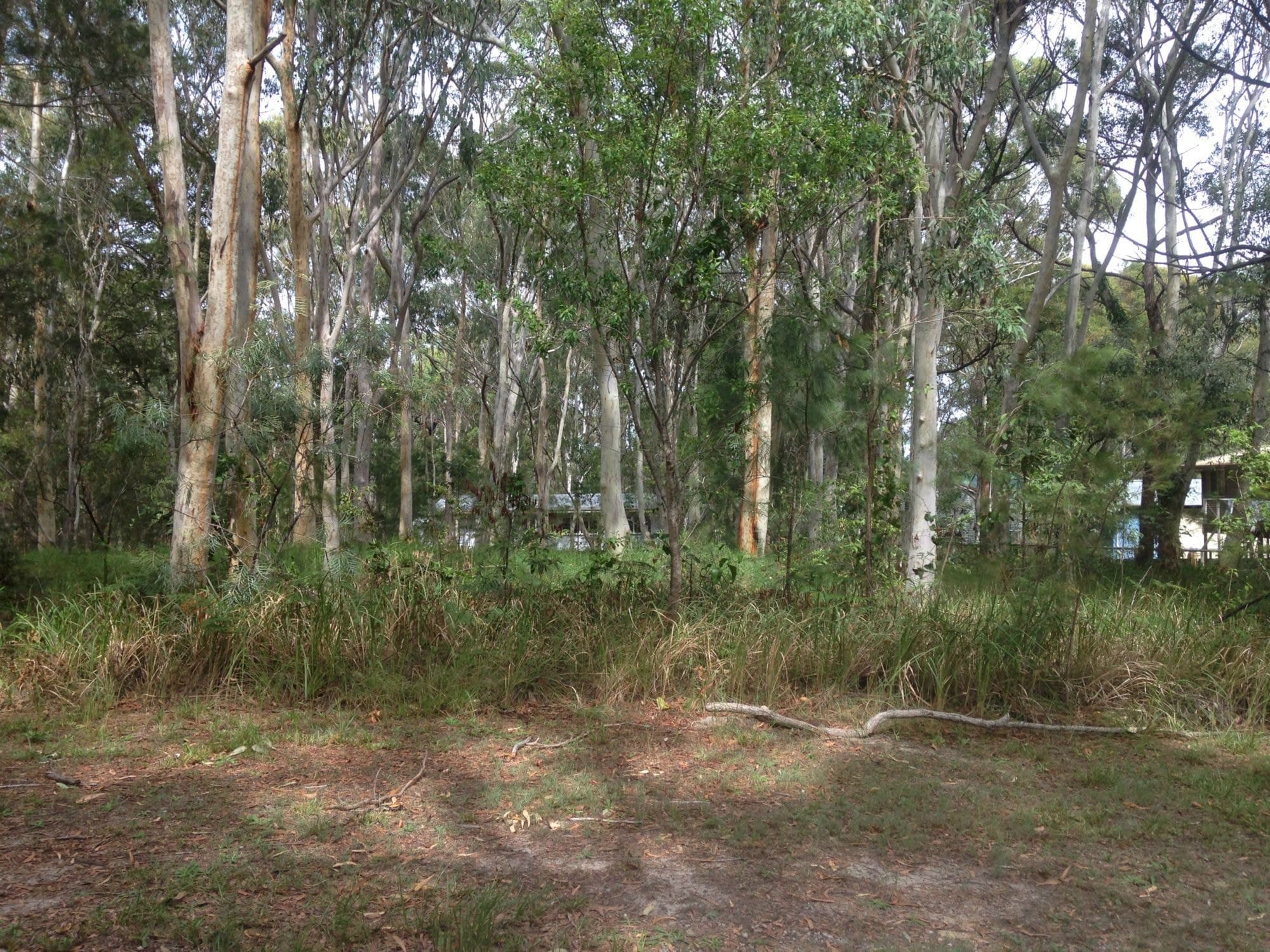 18 Parakeet Street, Macleay Island, Macleay Island - Image 1