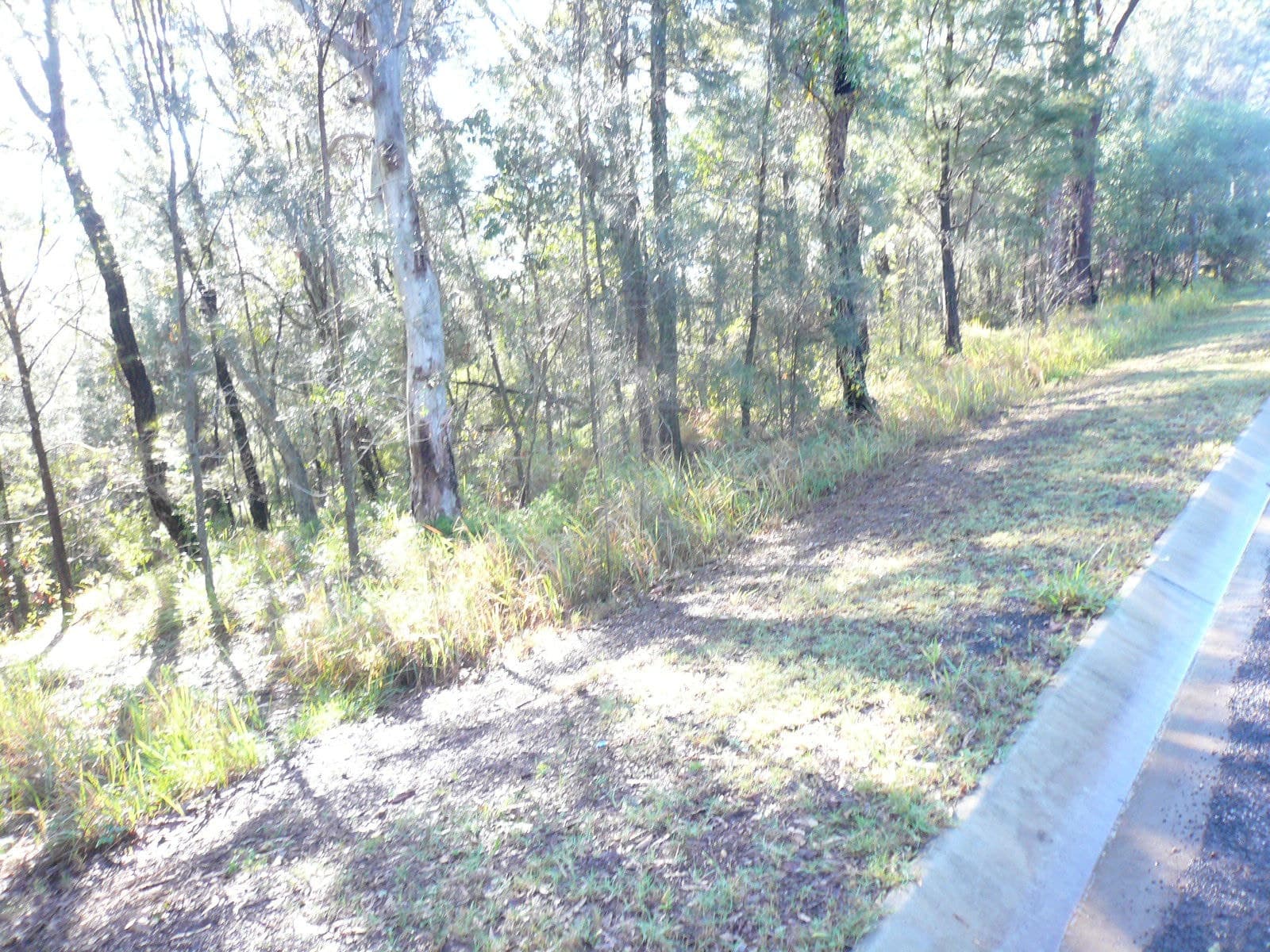 21 Beelong Street, Macleay Island, Macleay Island - Thumbnail 4