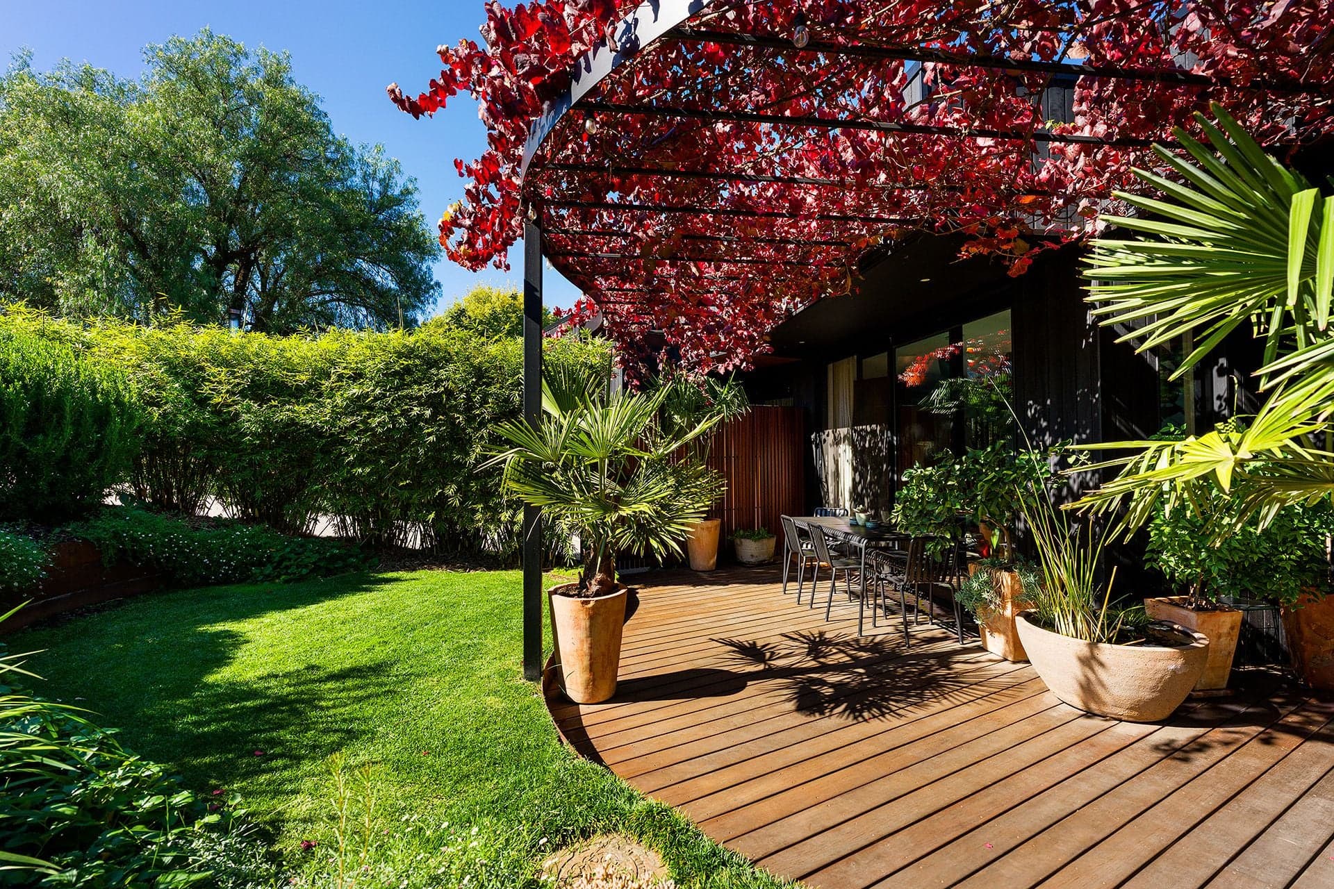 15 Lemon Street, Campbells Creek - Thumbnail 3