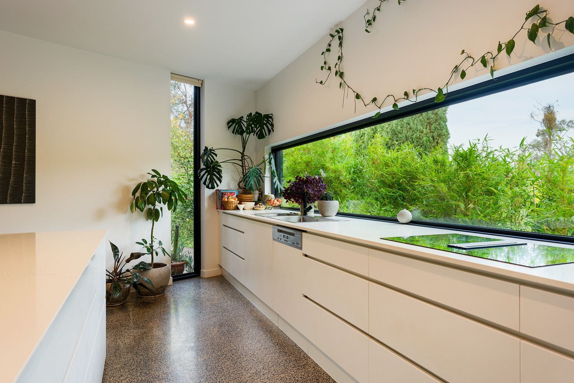 15 Lemon Street, Campbells Creek - Thumbnail 5