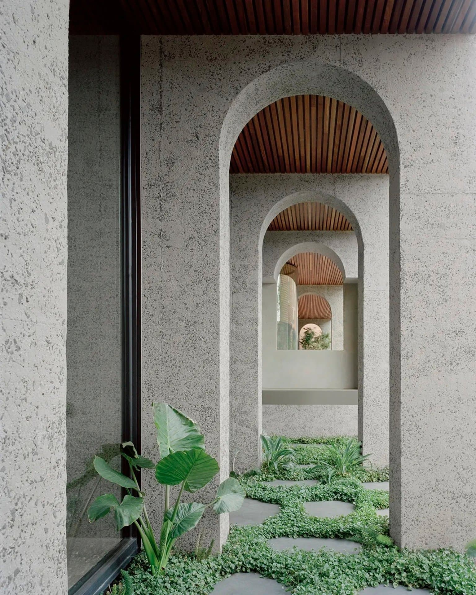 8 Erica Avenue, Glen Iris - Thumbnail 5