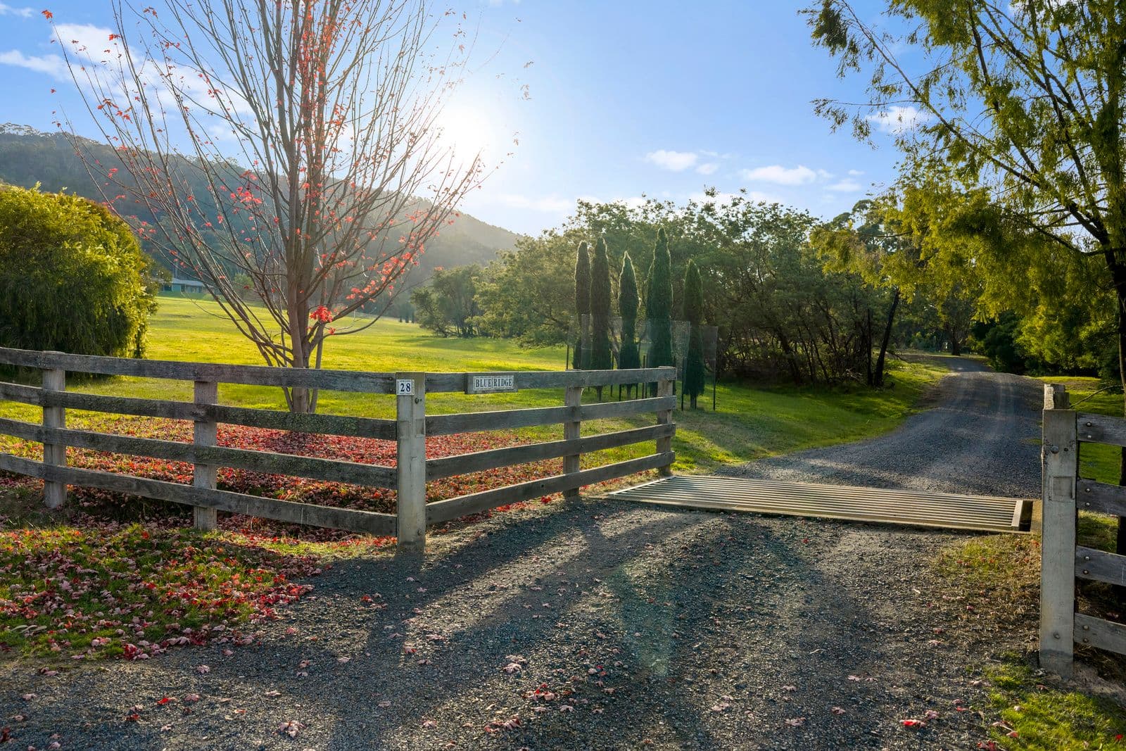 28 Mcelroy Lane, Mansfield VIC 3722, Mansfield - Thumbnail 4
