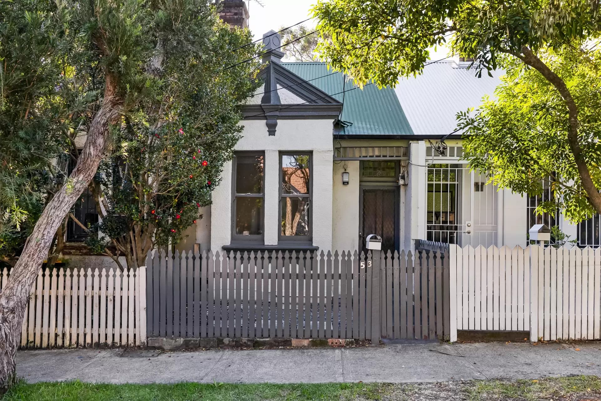 53 Laura Street, Newtown - Image 1