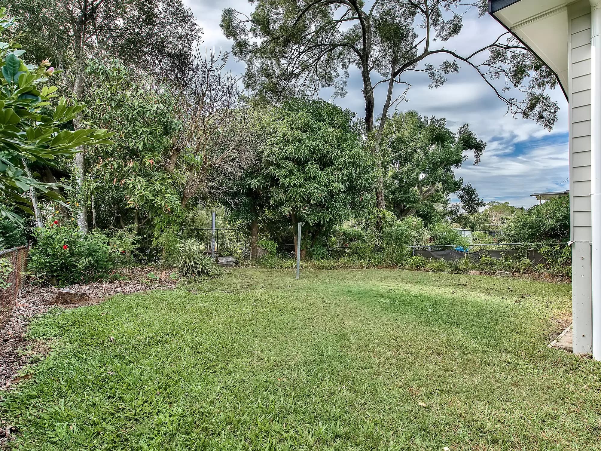 53 Annandale Street, Keperra, Keperra - Thumbnail 3