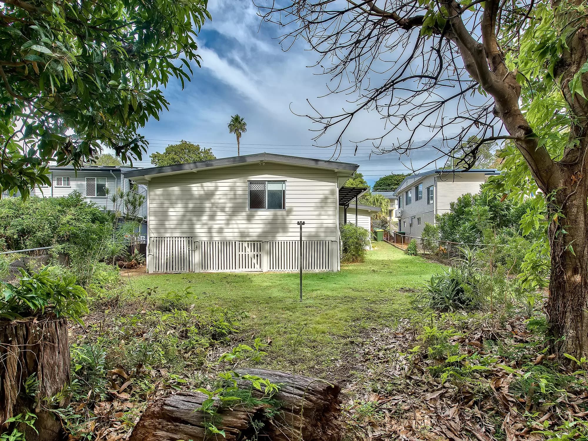 53 Annandale Street, Keperra, Keperra - Thumbnail 4