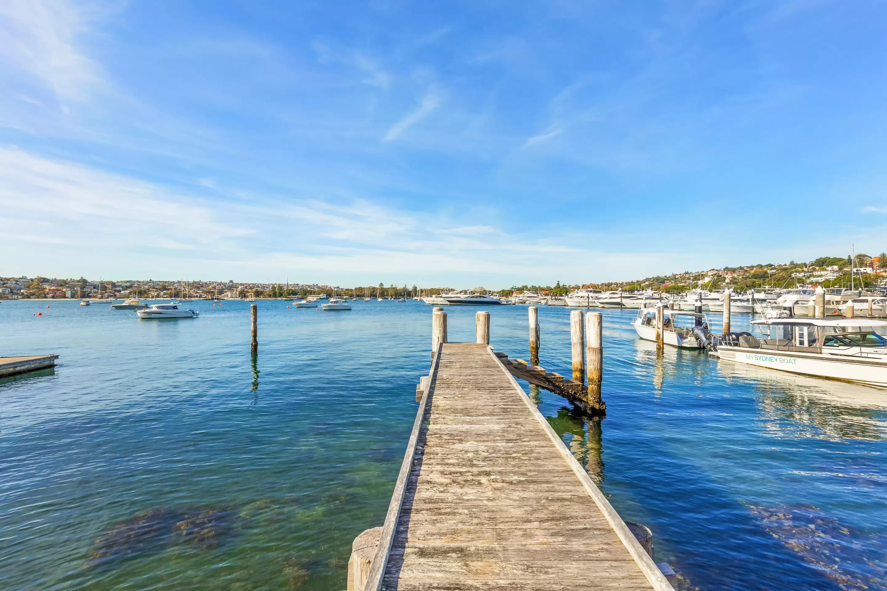 31 Wunulla Road, Point Piper, Point Piper - Thumbnail 6