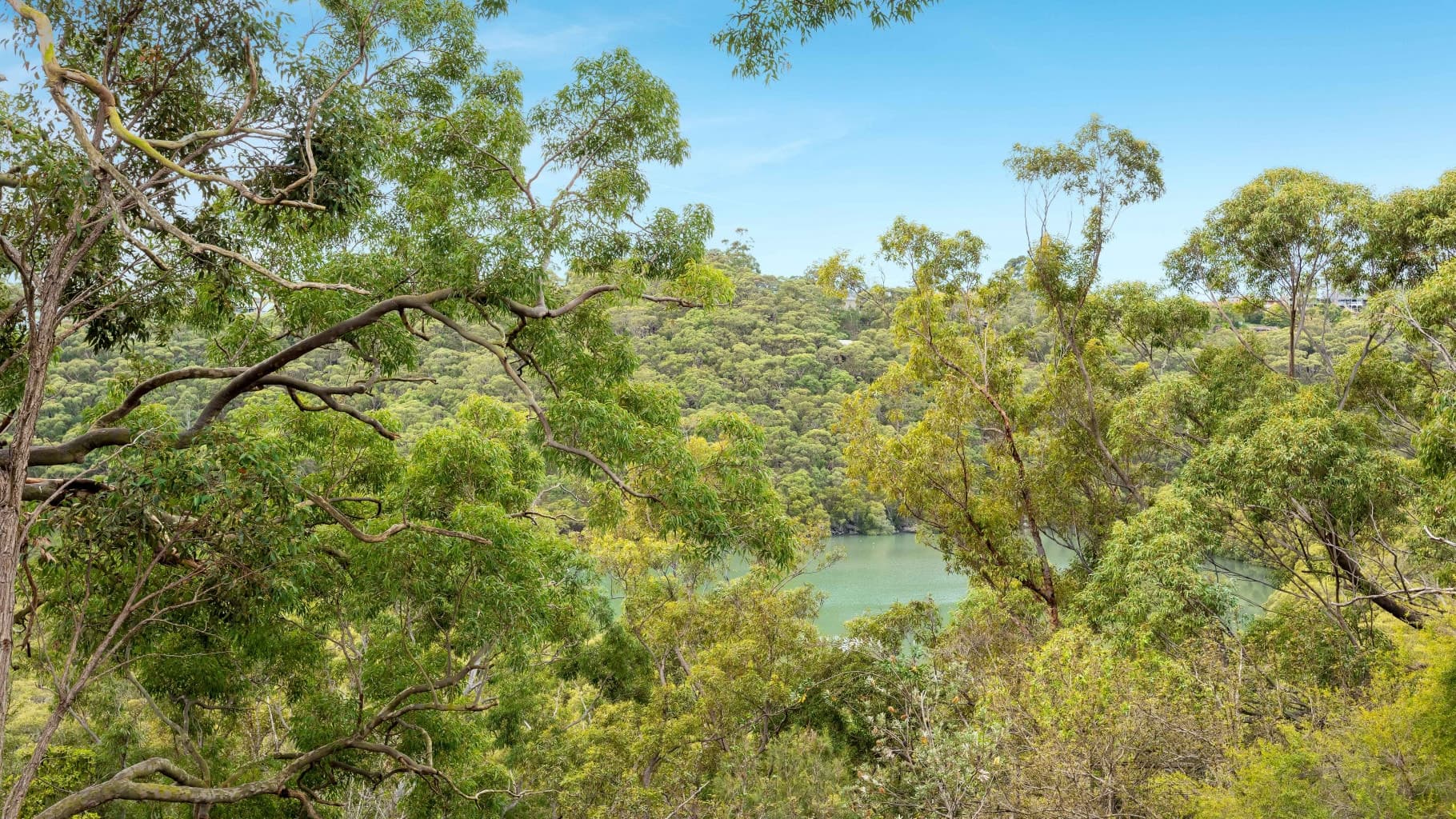 103 Washington Drive, Bonnet Bay - Thumbnail 8