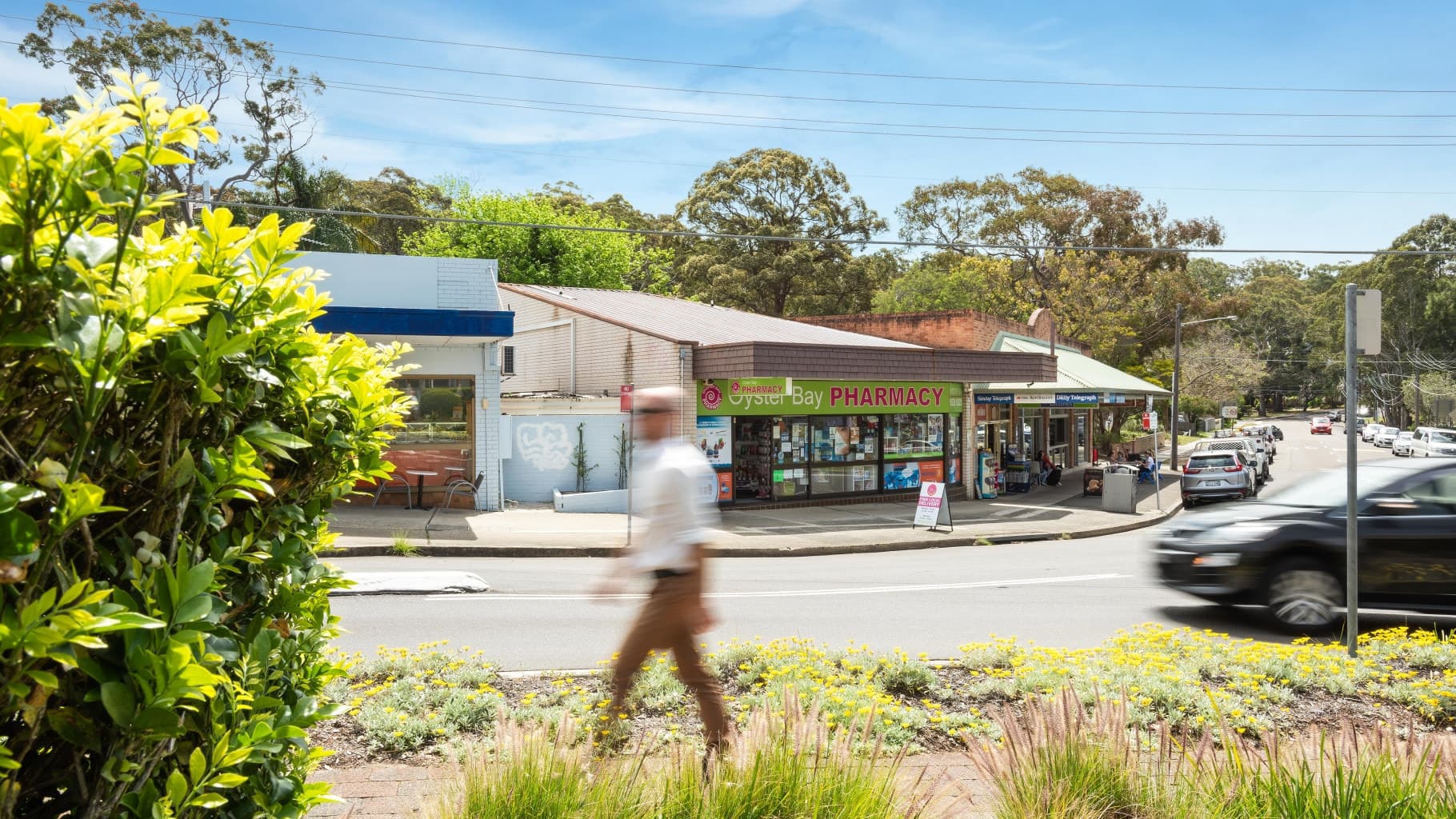 13 Scylla Road, Oyster Bay - Thumbnail 6
