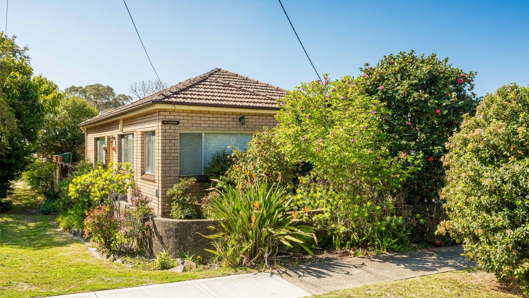 17 Alberta Street, Jannali - Thumbnail 2