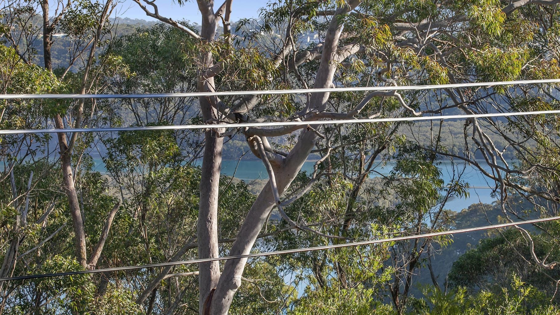 37 Lincoln Crescent, Bonnet Bay - Thumbnail 3