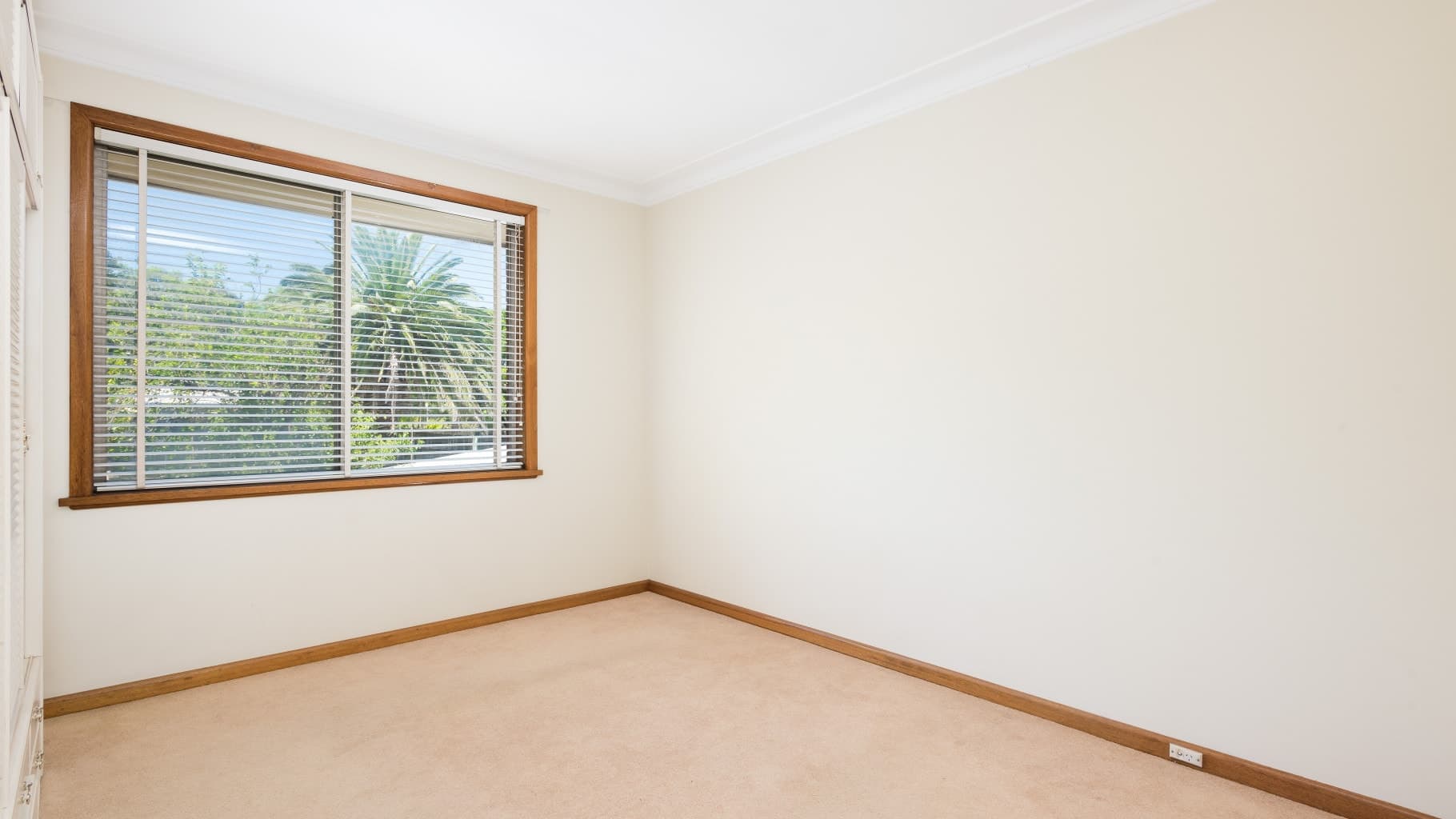 4/18 Connemarra Street, Bexley - Thumbnail 4
