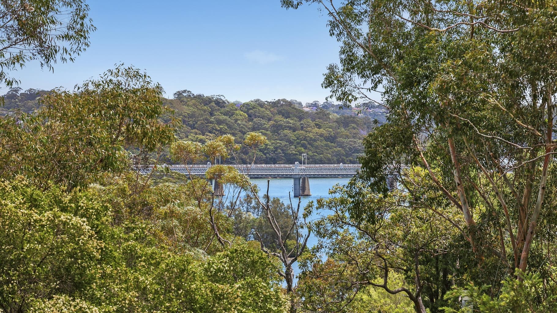 5 Glenhaven Place, Oyster Bay - Thumbnail 6