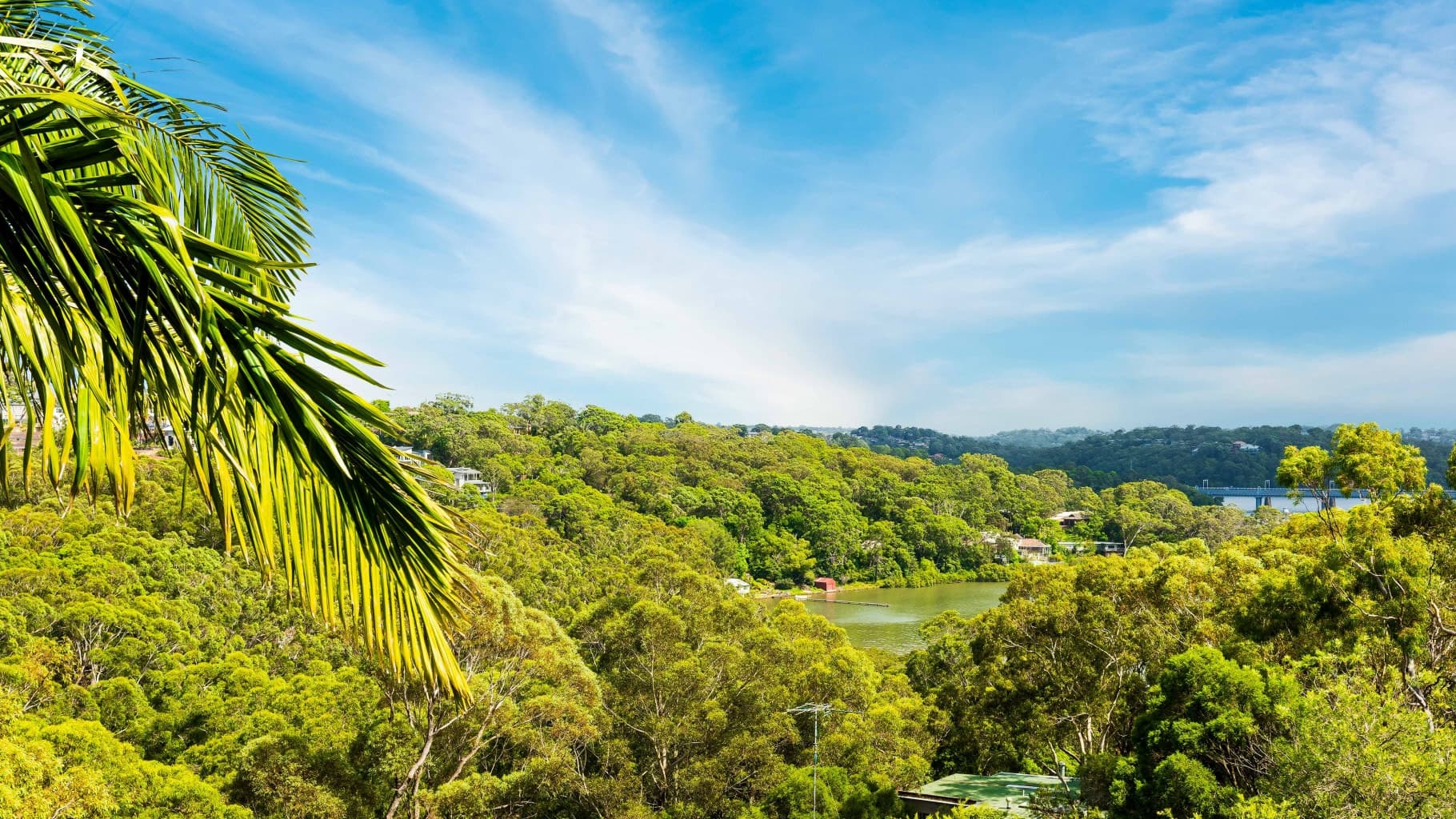 31 Caravan Head Road, Oyster Bay - Thumbnail 5