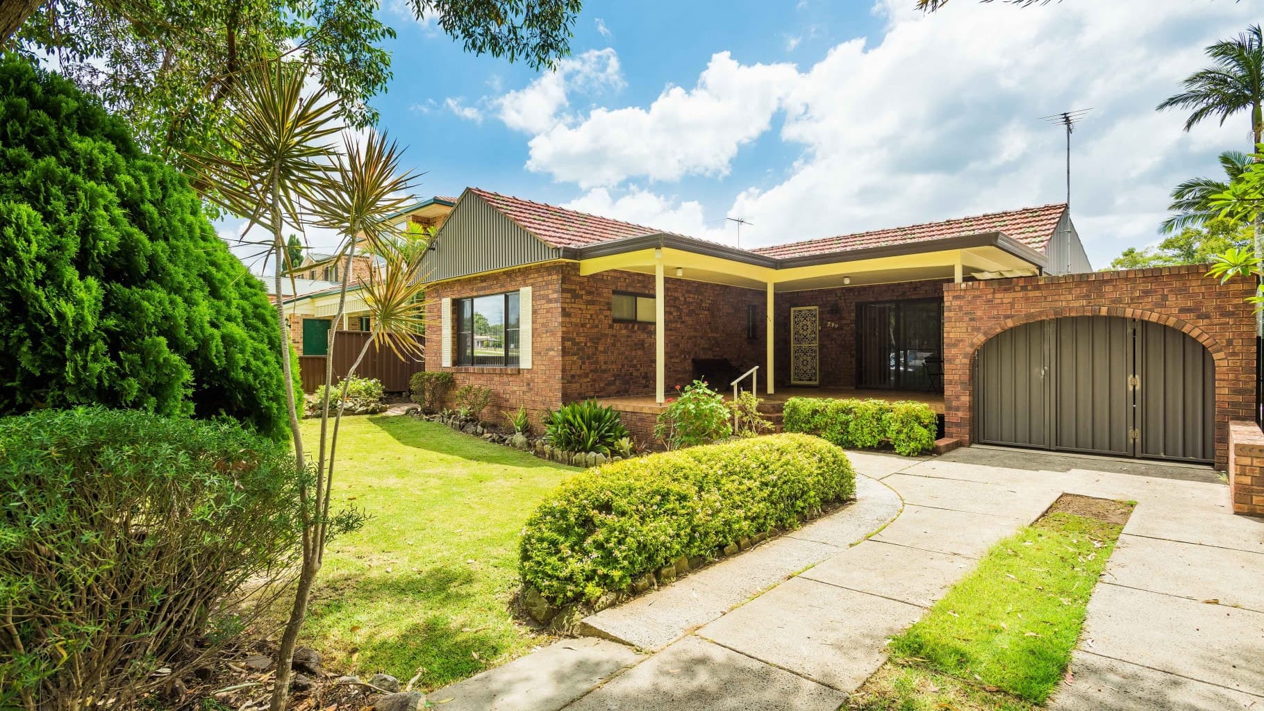239 Box  Road, Sylvania - Image 1