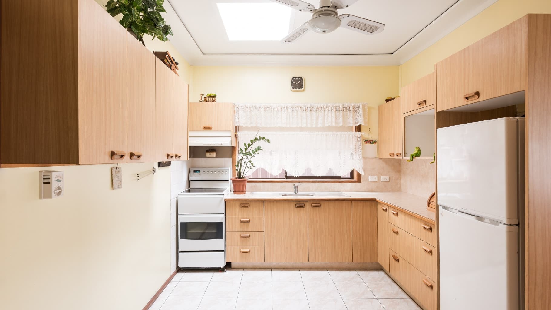 239 Box  Road, Sylvania - Thumbnail 2